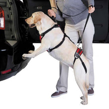 Load image into Gallery viewer, Total Pet Health Lift & Go Lead