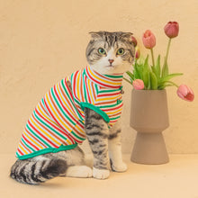 Load image into Gallery viewer, CATSPIA RIBBED STRIPED TOP