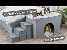 Load image into Gallery viewer, Trixie Cave Harvey with steps
