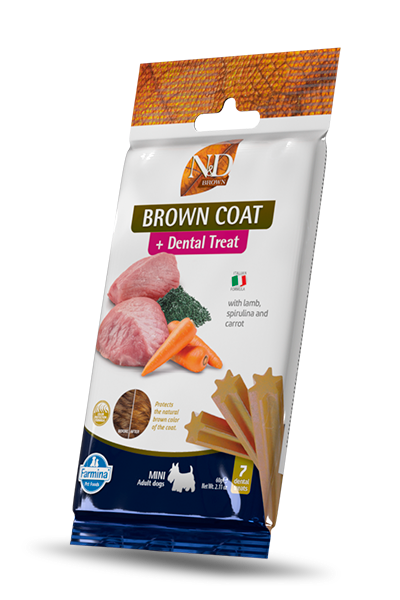 Brown Coat Dental Treat with lamb, spirulina and carrot mini