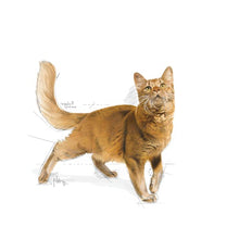 Load image into Gallery viewer, ROYAL CANIN Fit 32
