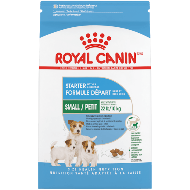 ROYAL CANIN Small Starter Mother And Babydog Dry Dog Food