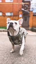 Load image into Gallery viewer, WAUDOG MILITARY DESIGN DOG JACKET
