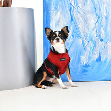 Load image into Gallery viewer, PUPPIA SUEDE HARNESS and LEAD
