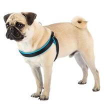 Load image into Gallery viewer, AGILA FLUO 1-2 Ergonomic chest harness for dogs with soft padding and elastic cord closure
