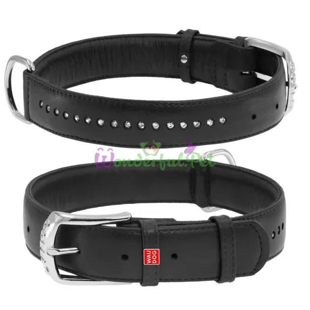 Leather collar WAUDOG Glamor with QR passport, with rhinestones, width 20mm, length 30-39cm