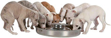 Load image into Gallery viewer, TRIXIE Junior puppy bowl, stainless steel 2 sizes
