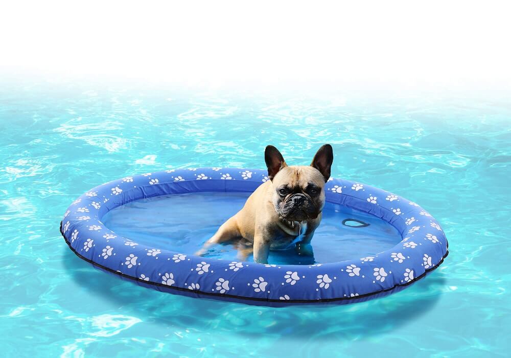 FLAMINGO Floating Dog Pool