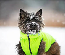 Load image into Gallery viewer, WAUDOG AIRY VEST World&#39;s Lightest Warm Jacket For Dogs
