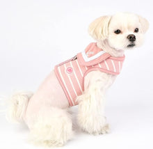Load image into Gallery viewer, CORDELIA PINKA HARNESS: S, M, L,
