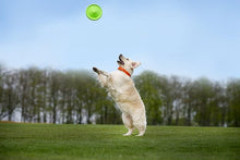 Load image into Gallery viewer, Flyer Dog Toy by Flyber - Floating Disc Toy 9-inch for Outdoors and Indoors Games.
