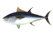 Load image into Gallery viewer, PRINCE Blue Fin Tuna Treats: Immunity
