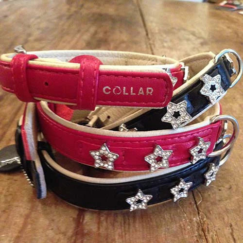 Collar Brilliance - Stars