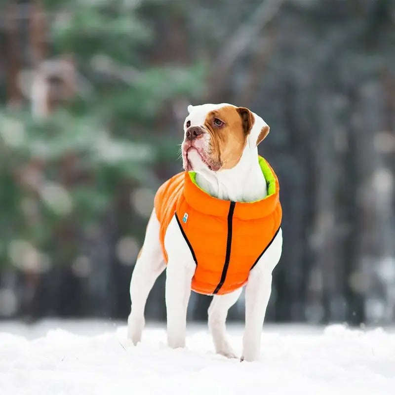 WAUDOG AIRY VEST World's Lightest Warm Jacket For Dogs – Petlove
