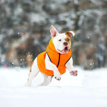 Load image into Gallery viewer, WAUDOG AIRY VEST World&#39;s Lightest Warm Jacket For Dogs
