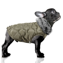 Load image into Gallery viewer, MILK AND PEPPER  THEODORE KHAKI JACKET FOR BULLY BREEDS
