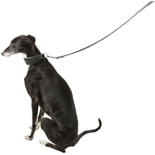 Load image into Gallery viewer, Active Comfort Sighthound Collar with Semi-Choke 2
