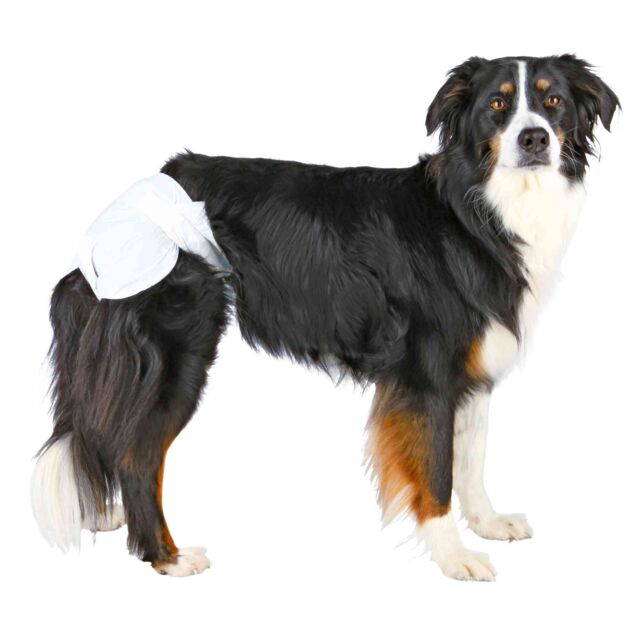 TRIXIE Diapers for female dogs  12 pcs/ 6 + 1 OFFER