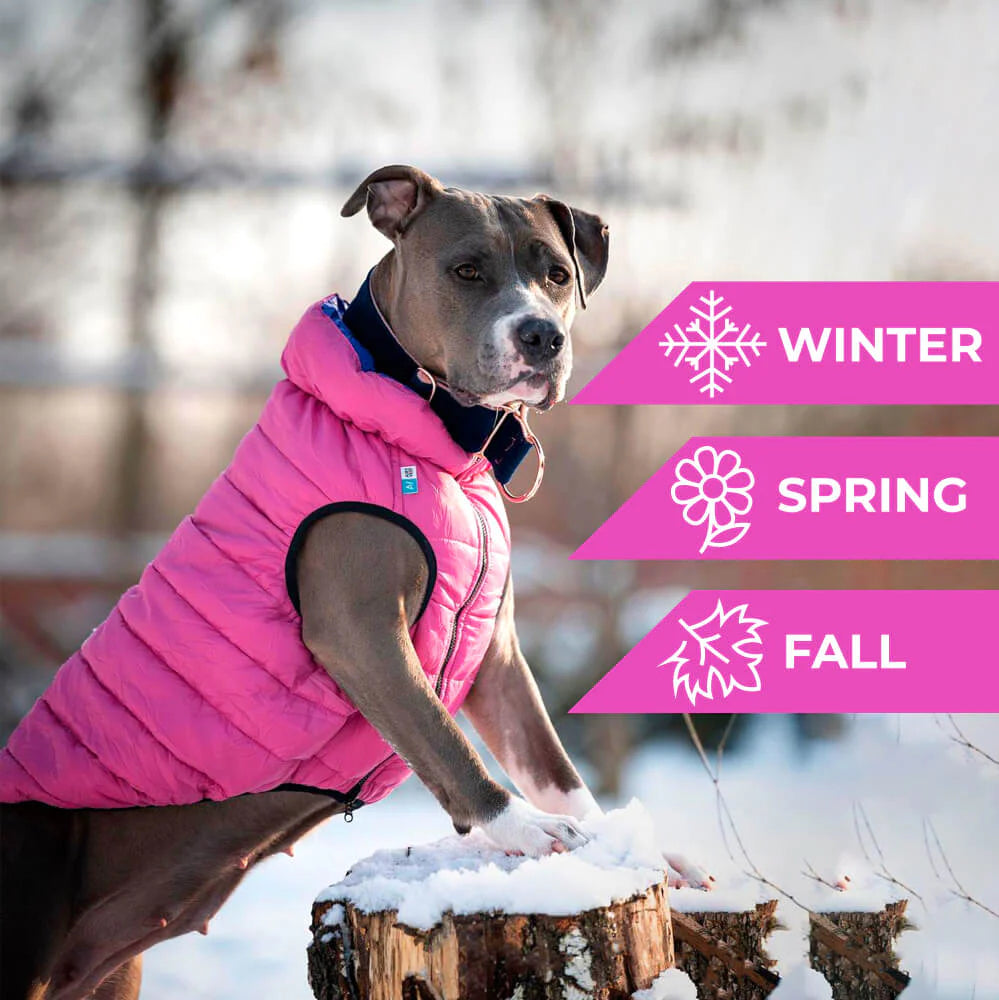 WAUDOG AIRY VEST World's Lightest Warm Jacket For Dogs – Petlove