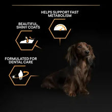 Load image into Gallery viewer, PRO PLAN® Small and Mini Everyday Nutrition Chicken Dry Dog Food
