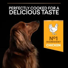 Load image into Gallery viewer, PRO PLAN® Small and Mini Everyday Nutrition Chicken Dry Dog Food
