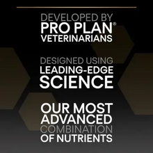 Load image into Gallery viewer, PRO PLAN® Small and Mini Everyday Nutrition Chicken Dry Dog Food
