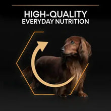 Load image into Gallery viewer, PRO PLAN® Small and Mini Everyday Nutrition Chicken Dry Dog Food

