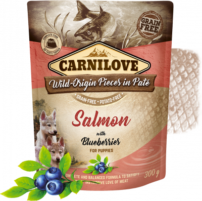 Carnilove Salmon with Blueberries for puppies