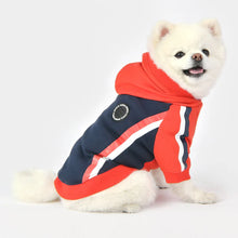 Load image into Gallery viewer, PUPPIA Keaton
