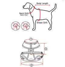 Load image into Gallery viewer, PINKAHOLIC Mirabelle Harness and lead
