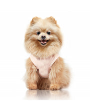 Load image into Gallery viewer, MILK &amp; PEPPER Azumi T-shirt
