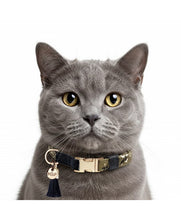 Load image into Gallery viewer, MILK AND PEPPER BECKY ADJUSTABLE COLLAR AND LEAD

