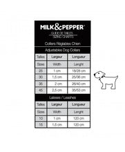 Load image into Gallery viewer, MILK AND PEPPER BECKY ADJUSTABLE COLLAR AND LEAD
