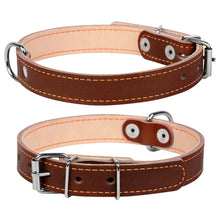 Load image into Gallery viewer, WAUDOG 2PLY LEATHER COLLAR
