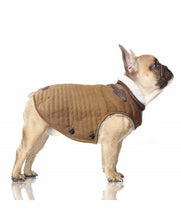 Load image into Gallery viewer, Milk &amp; Pepper Liam Puff  bulldogs  Jacket
