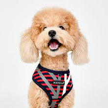 Load image into Gallery viewer, Puppia Red Briton Harness for Dogs
