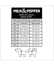 Load image into Gallery viewer, MILK AND PEPPER GWENDAL Sweater
