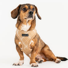 Load image into Gallery viewer, PUPPIA CORWIN HARNESS A
