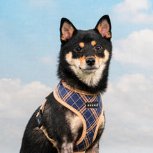 Load image into Gallery viewer, PUPPIA CORWIN HARNESS A
