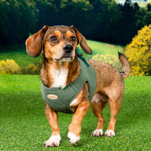 Load image into Gallery viewer, PUPPIA ECO HARNESS B
