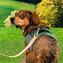 Load image into Gallery viewer, PUPPIA ECO HARNESS B
