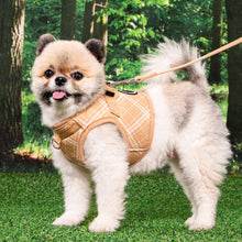 Load image into Gallery viewer, PUPPIA CORWIN HARNESS B
