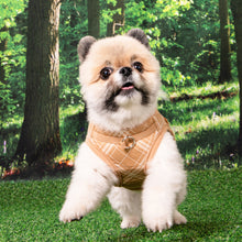 Load image into Gallery viewer, PUPPIA CORWIN HARNESS B
