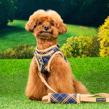 Load image into Gallery viewer, PUPPIA CORWIN HARNESS B
