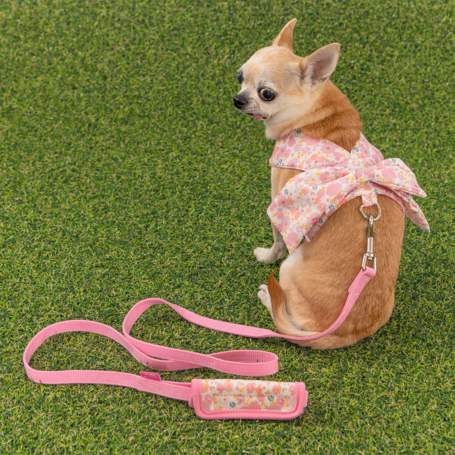 PINKAHOLIC AMABEL HARNESS