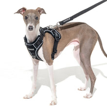 Load image into Gallery viewer, PUPPIA TERRY HARNESS H
