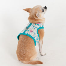 Load image into Gallery viewer, PINKAHOLIC AMABEL PINKA HARNESS
