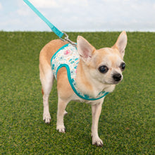 Load image into Gallery viewer, PINKAHOLIC AMABEL PINKA HARNESS
