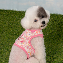 Load image into Gallery viewer, PINKAHOLIC AMABEL PINKA HARNESS
