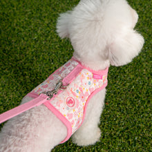 Load image into Gallery viewer, PINKAHOLIC AMABEL PINKA HARNESS
